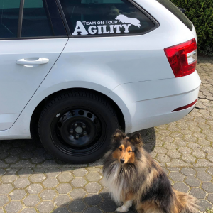 Aufkleber & Beschriftung