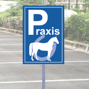 Parkplatzschild Pferd mit Hufeisen