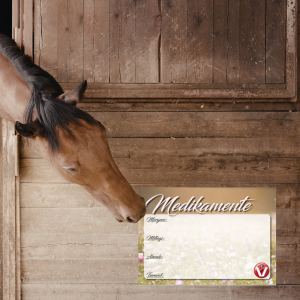 Medikamentenplan