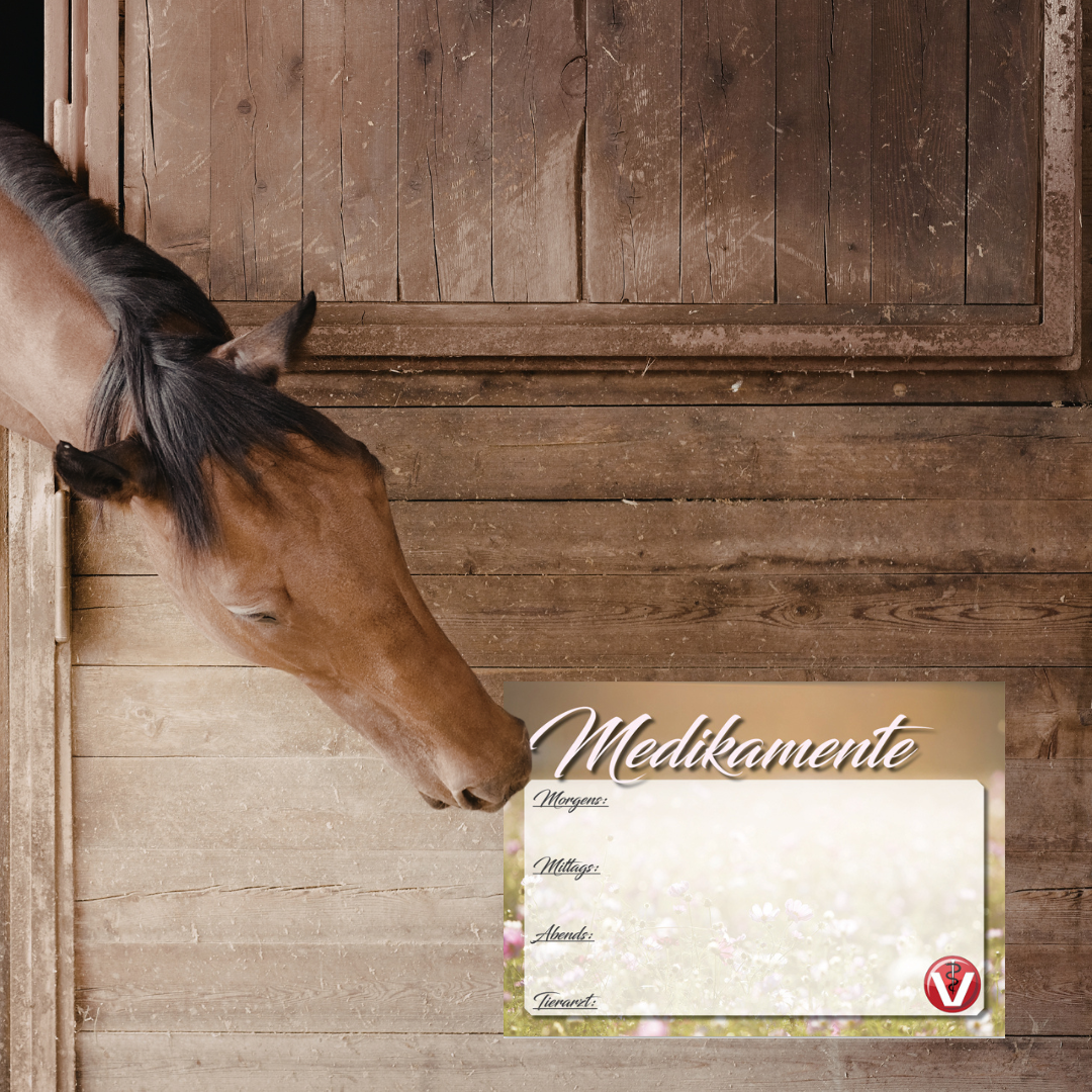 Medikamentenplan