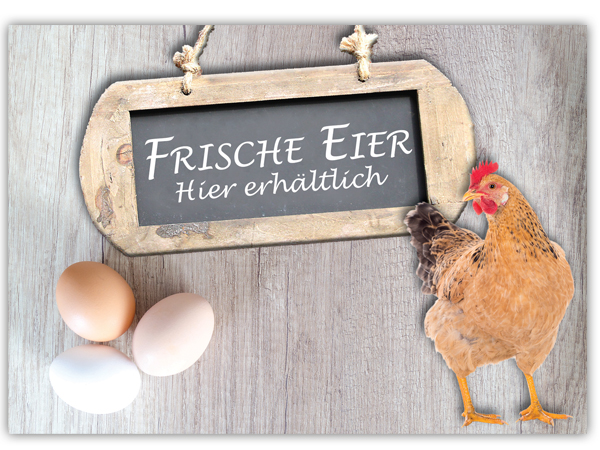 Schild Eierverkauf – "Frische Eier hier erhältich" – Bild 2