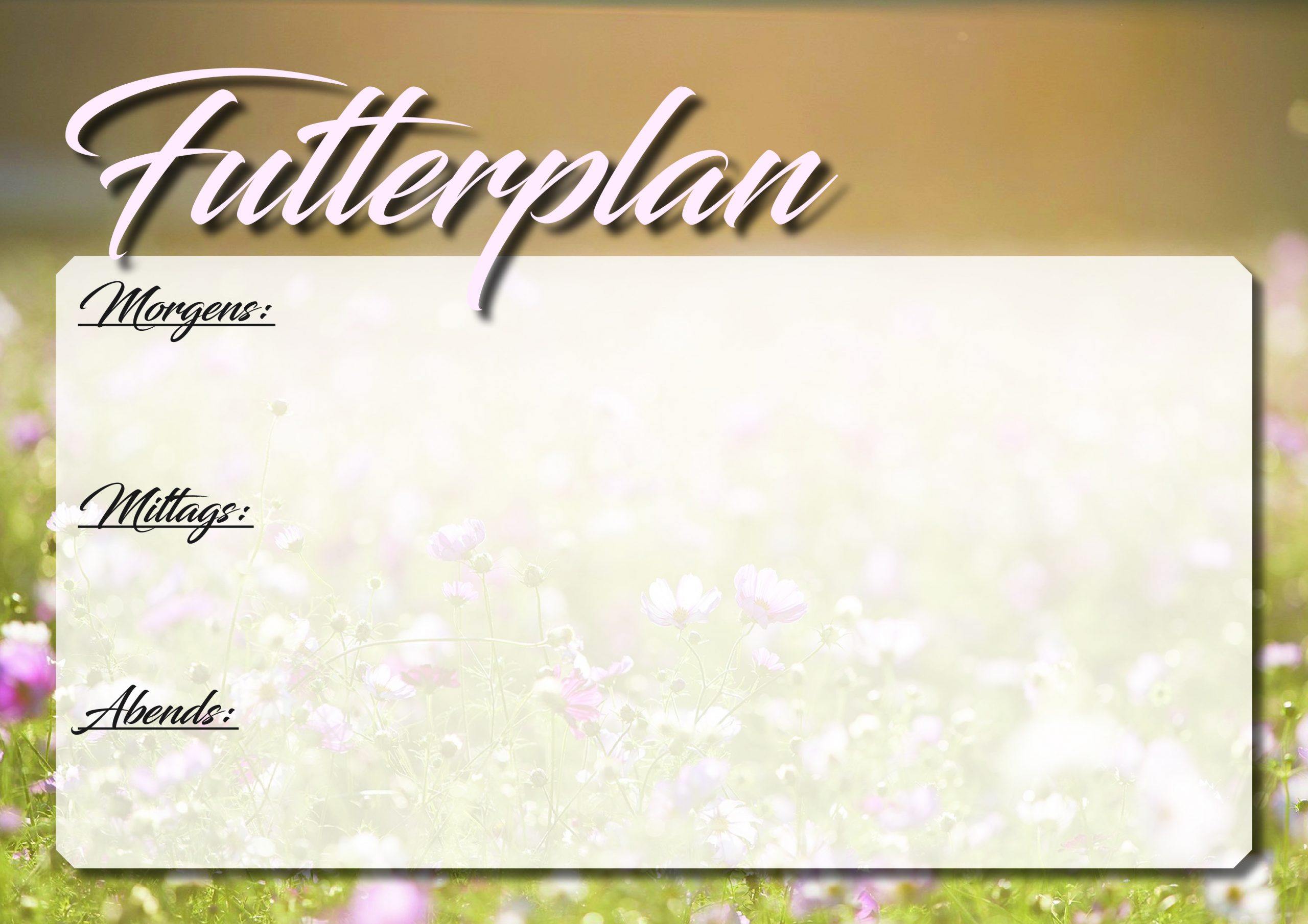 Futterplan – Bild 2