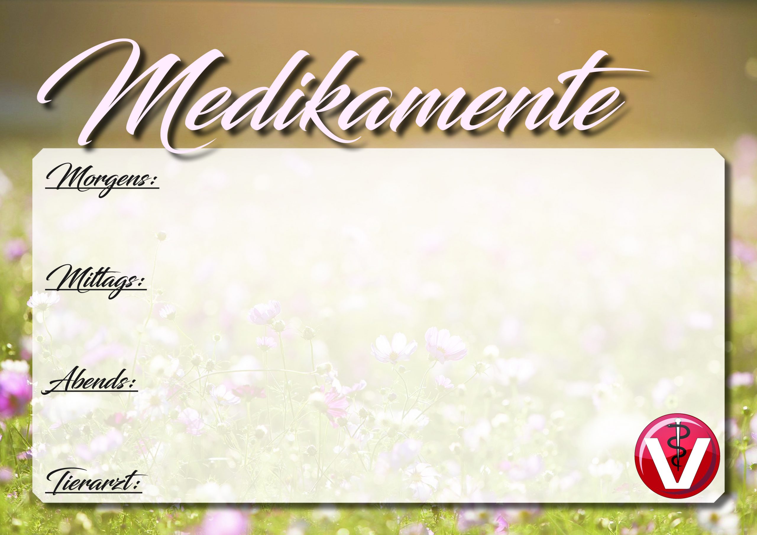 Medikamentenplan – Bild 2